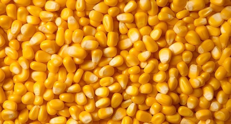    Фото: ФГБУ ЦОК АПК