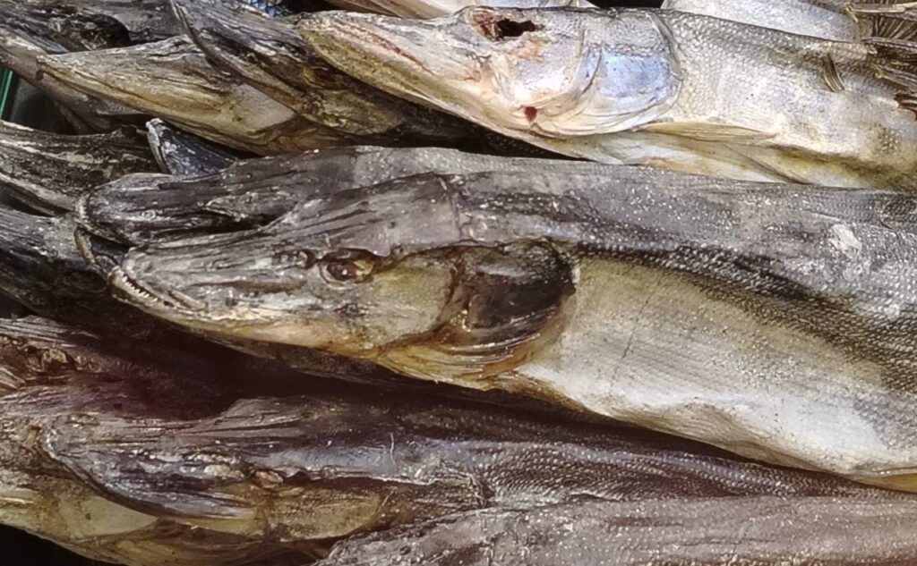    Фото: v-kurse.ru Ольга Гилёва