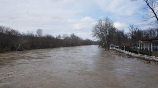    Элина Болдырева Юлия Виноградова