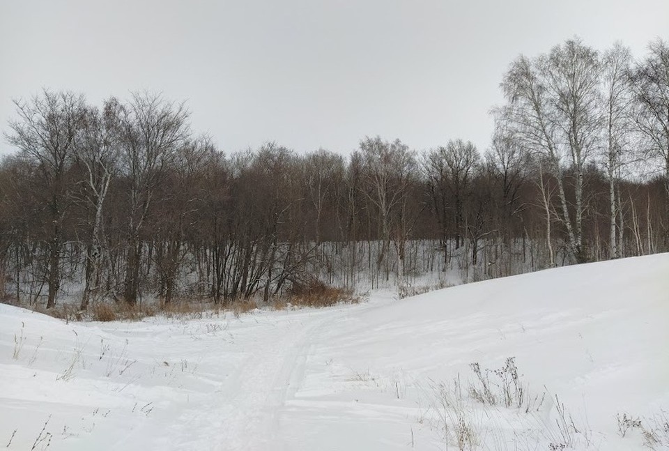    Днем в Приморье 10 февраля ожидается почти весенняя погода. Юлия ЕФРЕМОВА