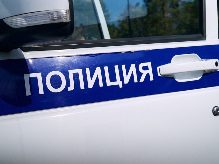     Фото: Дмитрий Куткин («Вечерний Челябинск»)