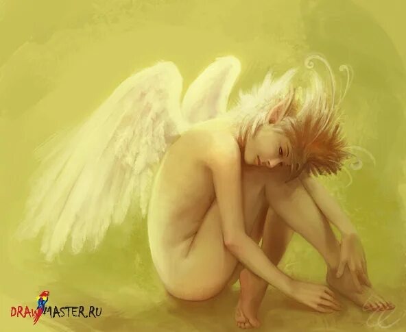 Фото из интернета 