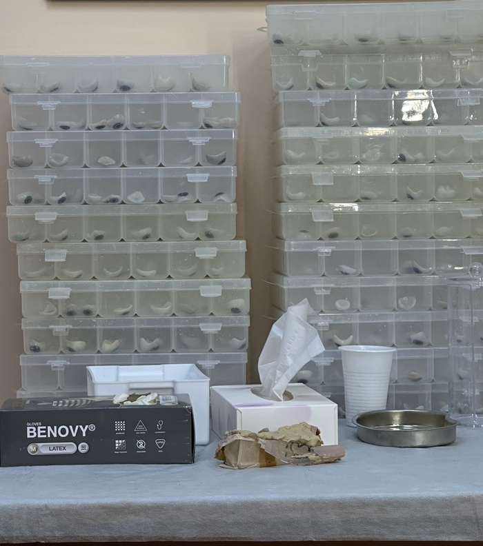 Листайте вправо, чтобы увидеть больше изображений