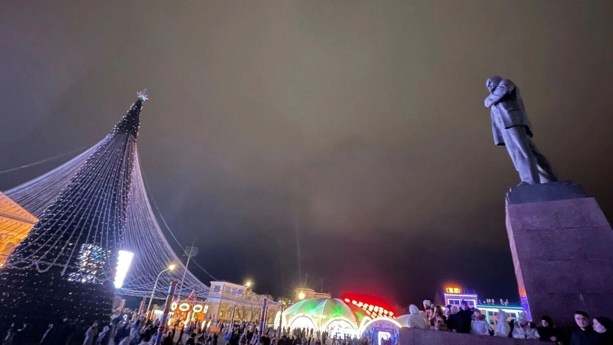    Власти Ставрополя объяснили, когда уберут лес елок и иллюминацию   newstracker.ru