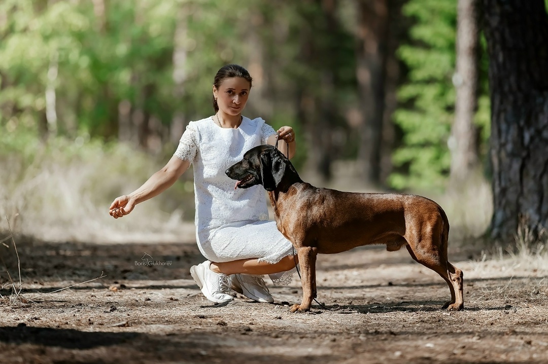 𝐊𝐫𝐚𝐬𝐢𝐯𝐚𝐲𝐚 𝐒𝐜𝐡𝐚𝐬𝐭𝐥𝐢𝐯𝐚𝐲𝐚 𝐙𝐡𝐢𝐳𝐧 𝐁𝐫𝐚𝐝 𝐏𝐢𝐭𝐭