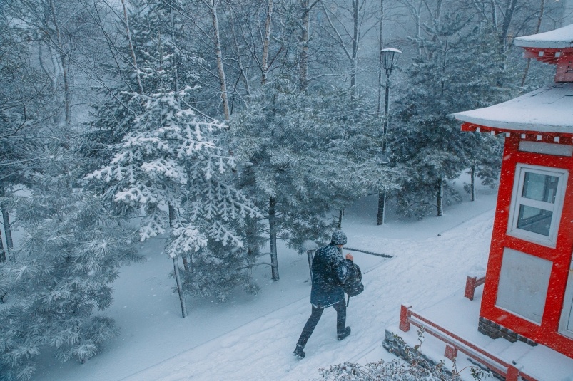    Тематическое фото. Фото: ИА OmskMedia
