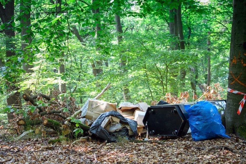    Чтобы избежать наказания, эксперт посоветовал соблюдать противопожарные расстояния. GLOBAL LOOK PRESS