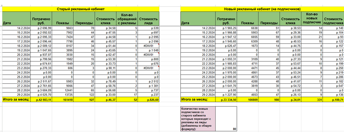 Статистика за февраль 2024 — начало ведения проекта. Разделили цели на лиды и подписки и начали считать результат отдельно по каждому направлению.