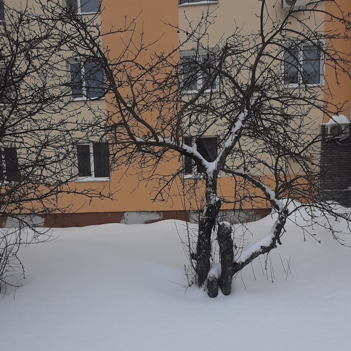 Заделано наглухо