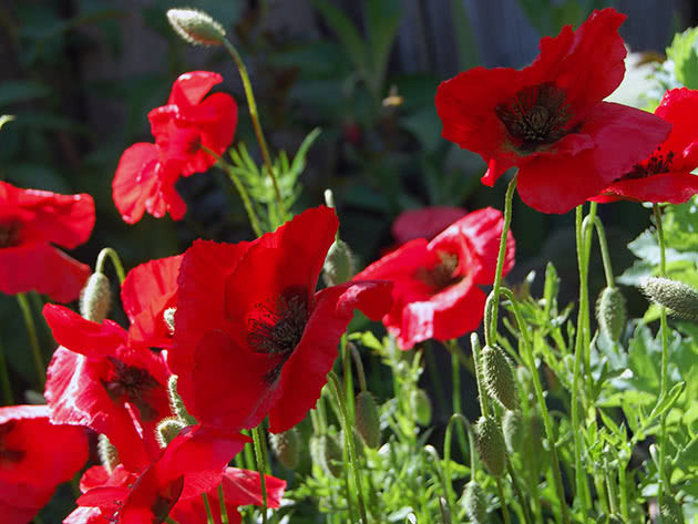 Фото из открытых источников