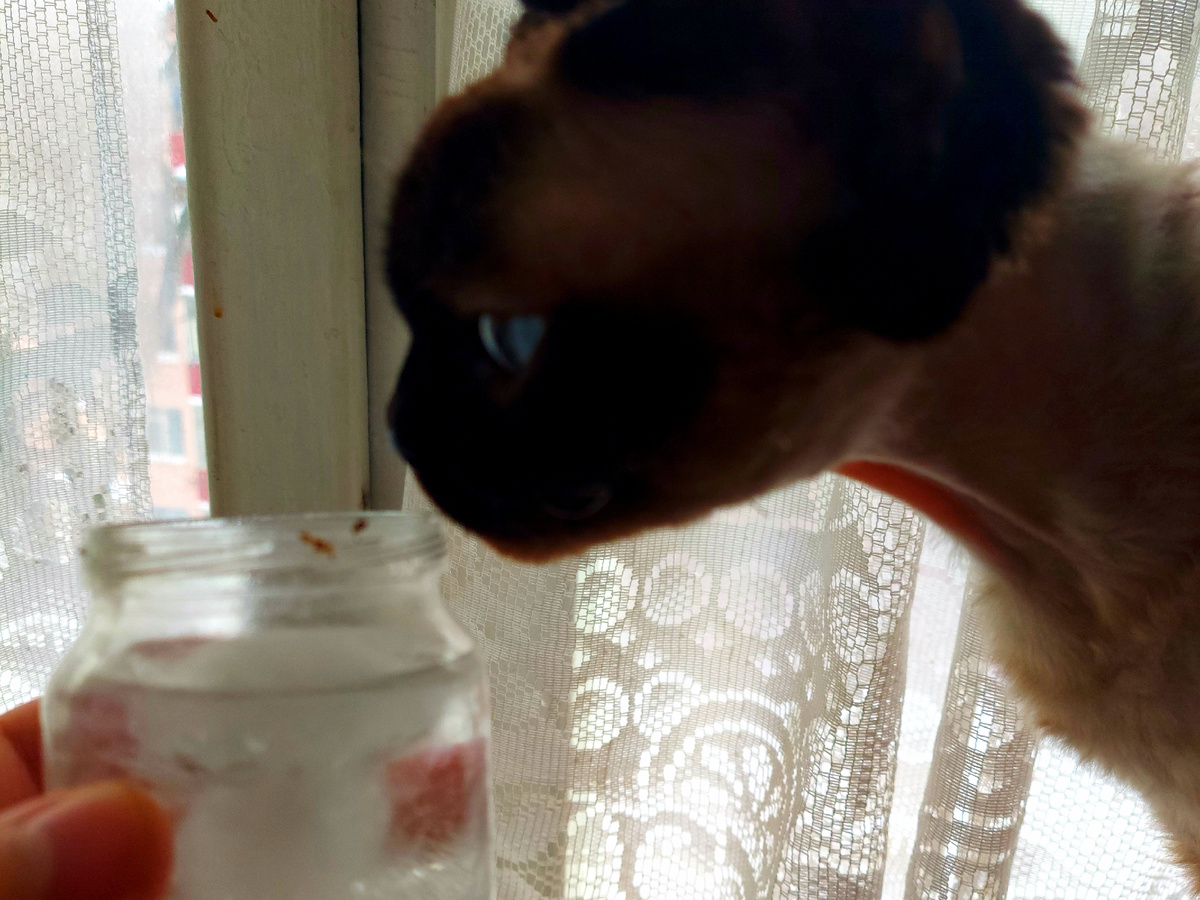 Даже ей кажется, что внутри что-то интересное.