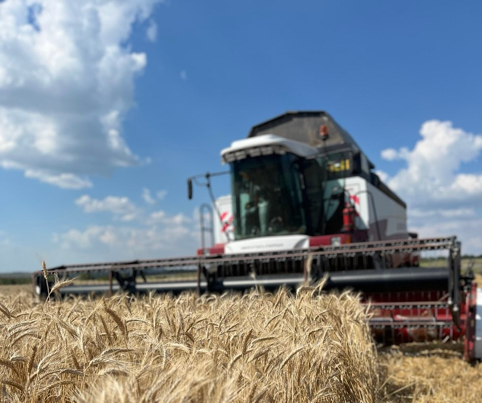    Фото: правительство Оренбургской области