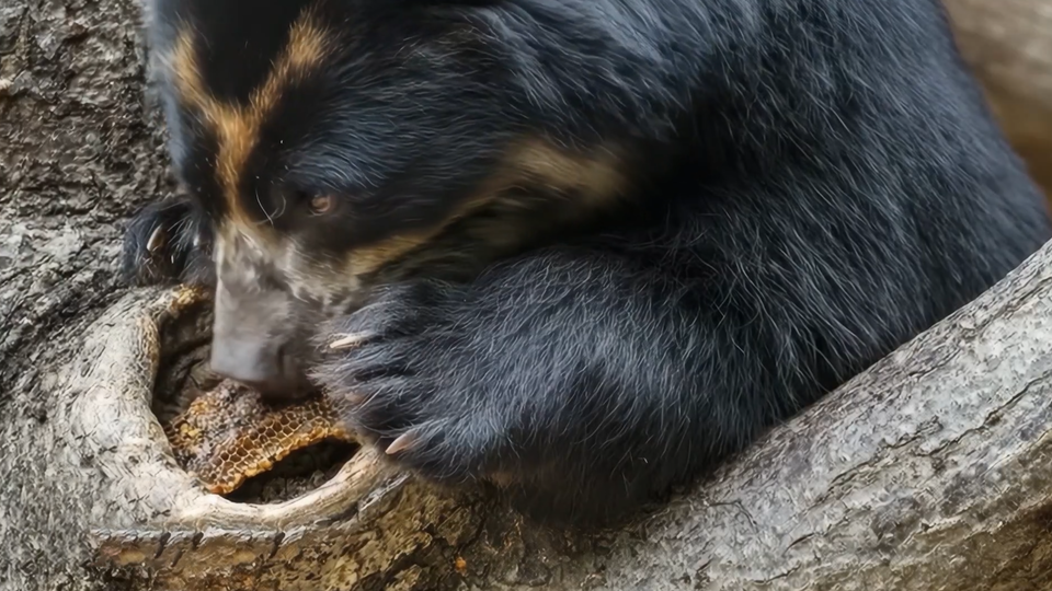 ФОТО: Кадр из программы "Легенды и мифы", РЕН ТВ