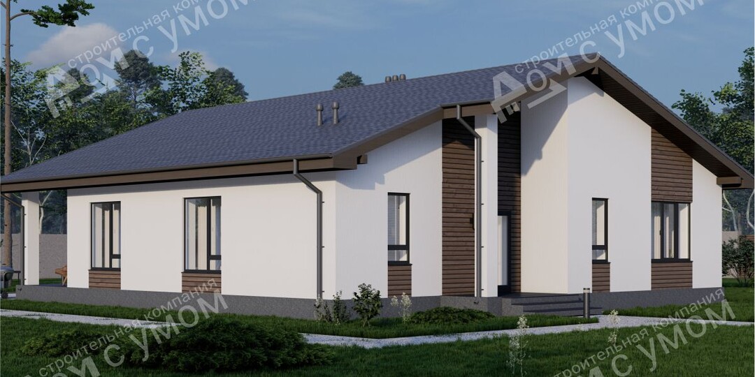 Проект "Алевтина"