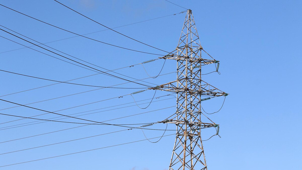    Фото: Maksim Konstantinov/globallookpress.com