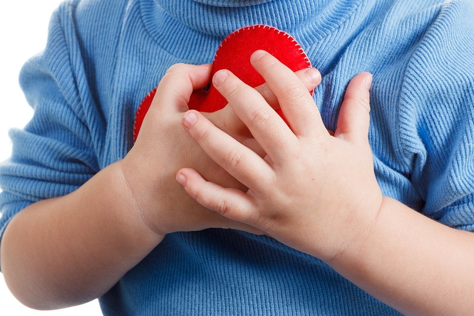    Итальянская прокуратура начала расследование в связи с порчей сердца, предназначенного для пересадки. Фото: BravissimoS/Shuttestock/Fotodom