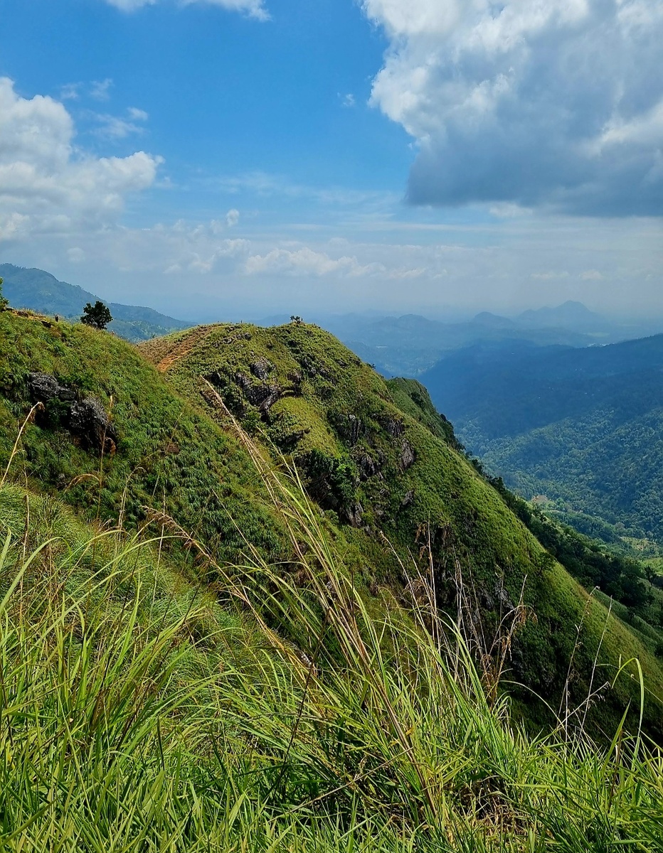 Шри Ланка. Фото автора статьи.