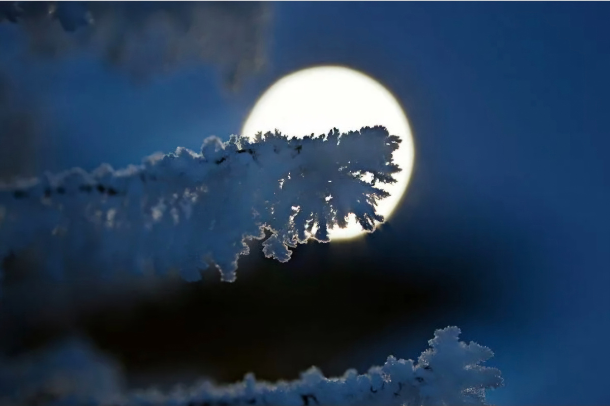 Изображение из открытых источников 