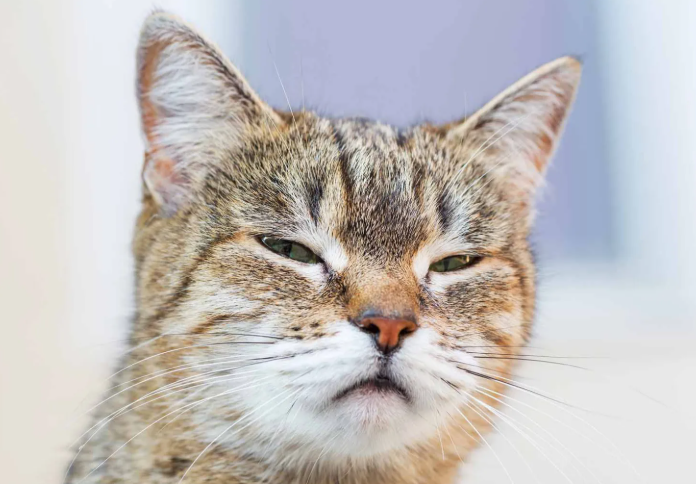 И что дальше