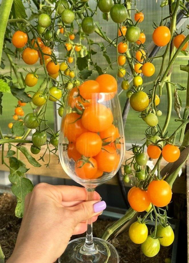 © Юлиана Салуева