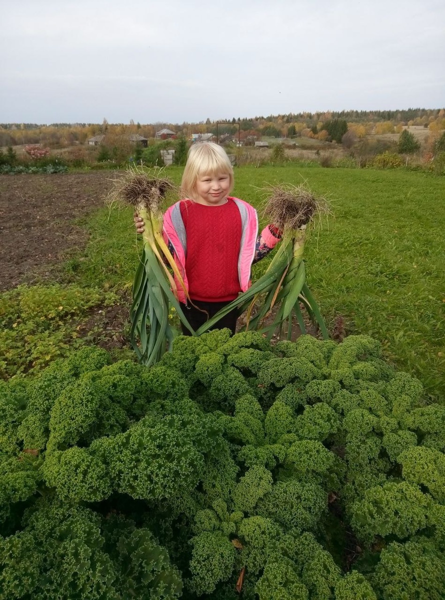 © Светлана Барабанова