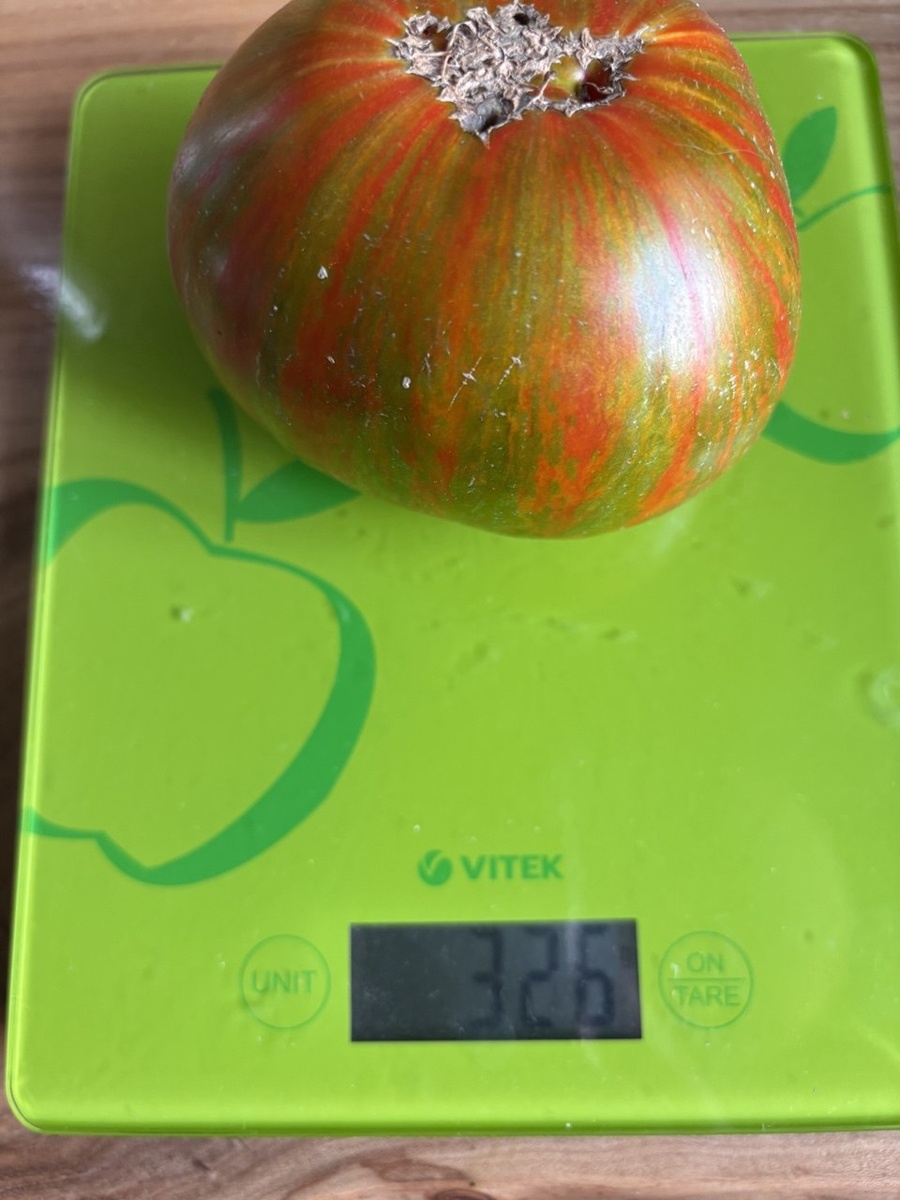 29 июля