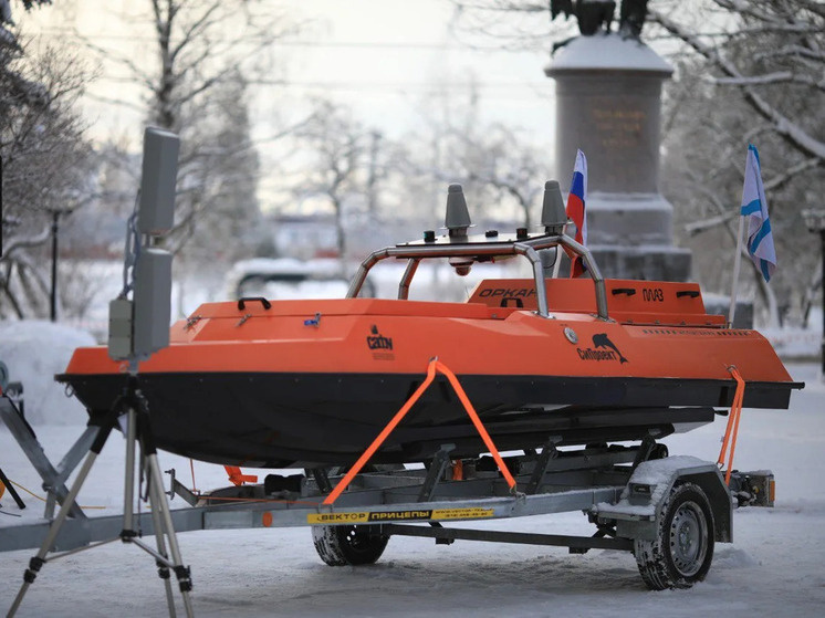     Фото Александра Цыбульского из канала в МАХ