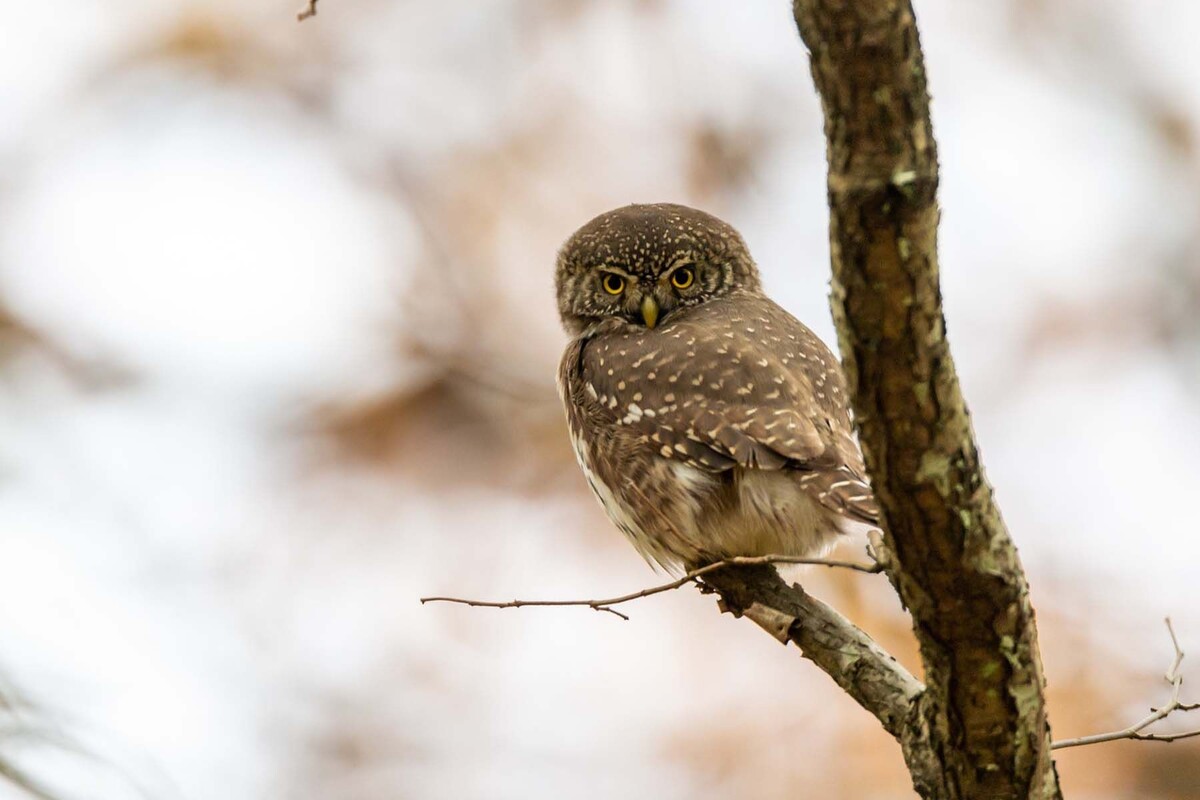  © wirestock, Freepik.com