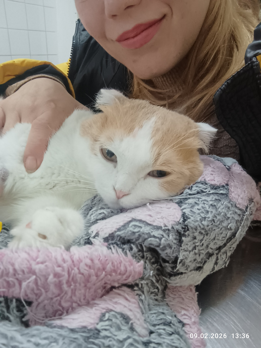 На капельнице. 