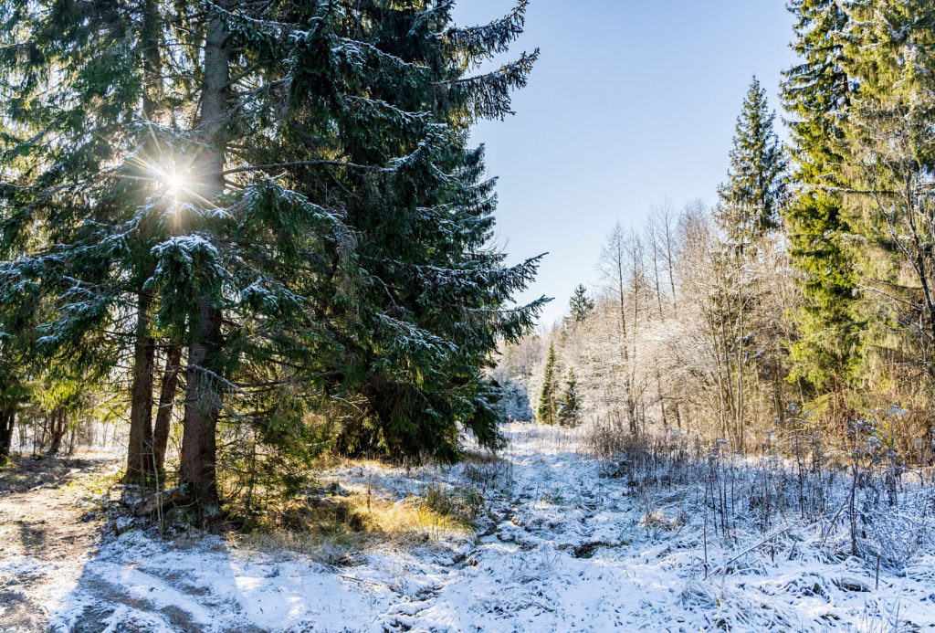    Фото: тверскаяобласть.рф