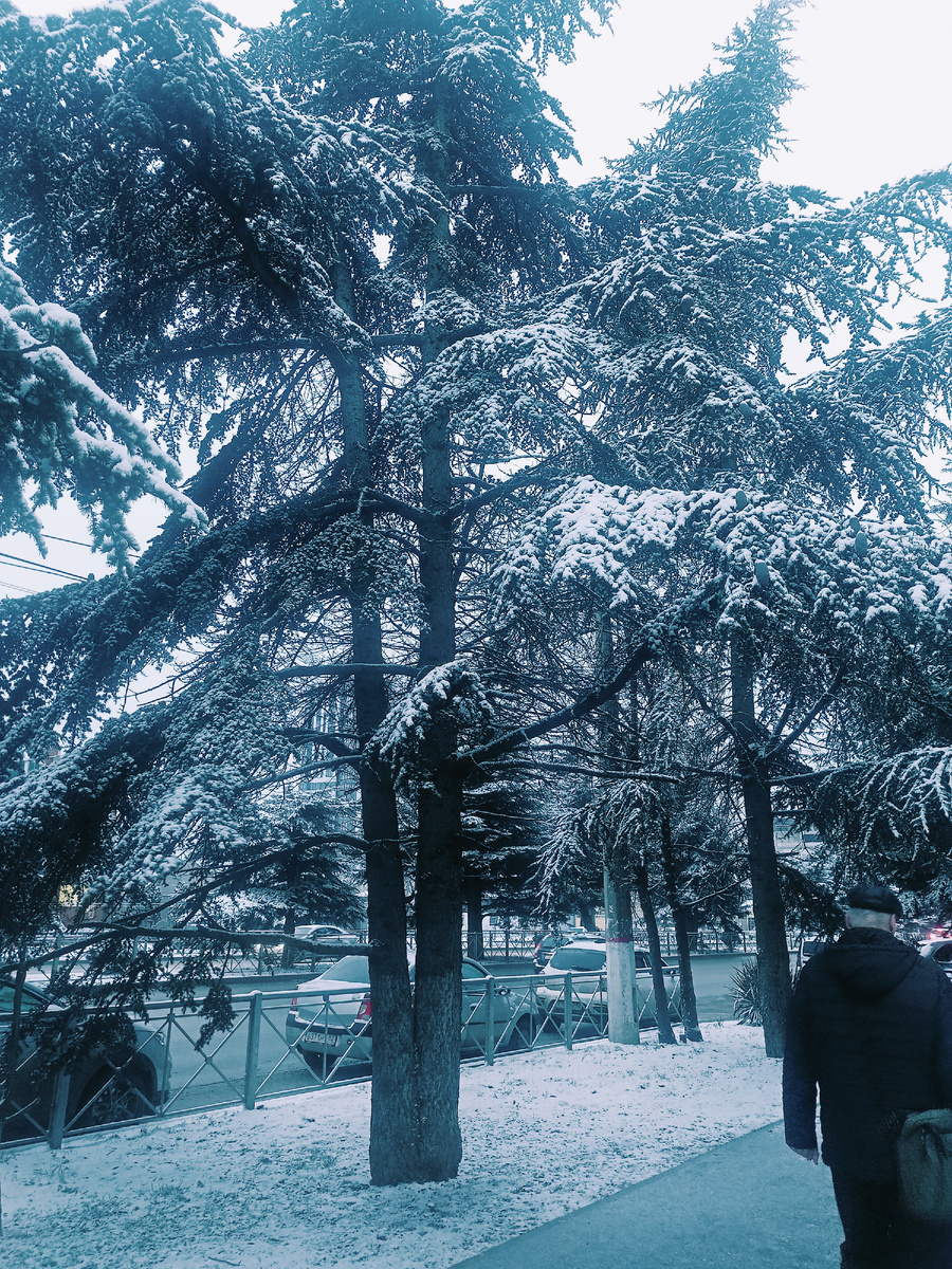 Фото автора. Зима вернулась, правда по прогнозам синоптиков на 2 дня...