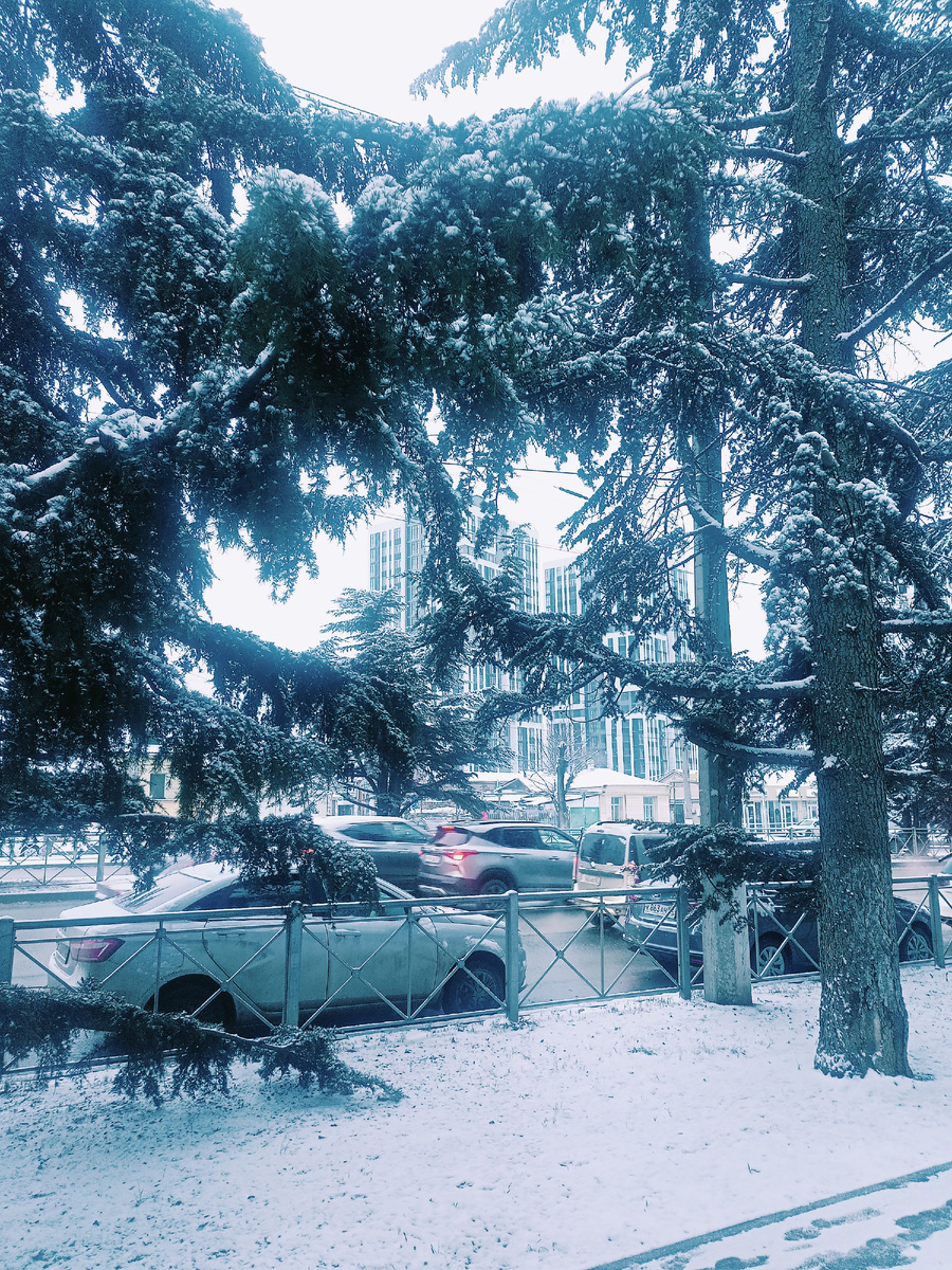 Фото автора. Сегодня, по дороге на работу.