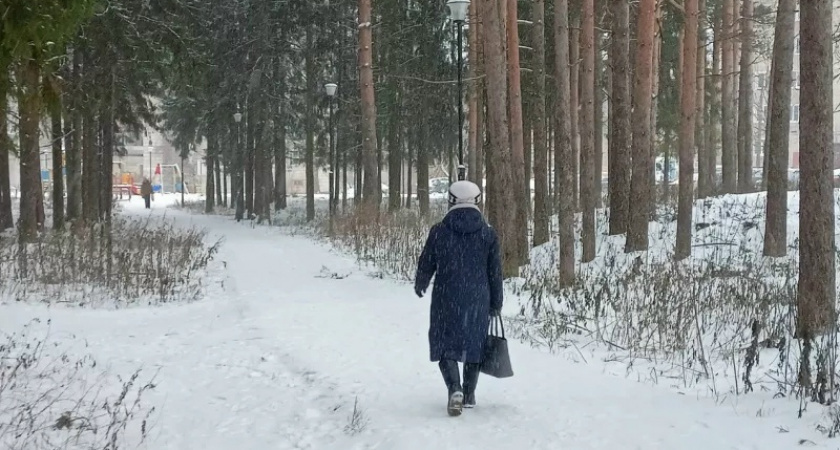    Фото: progorod43.ru