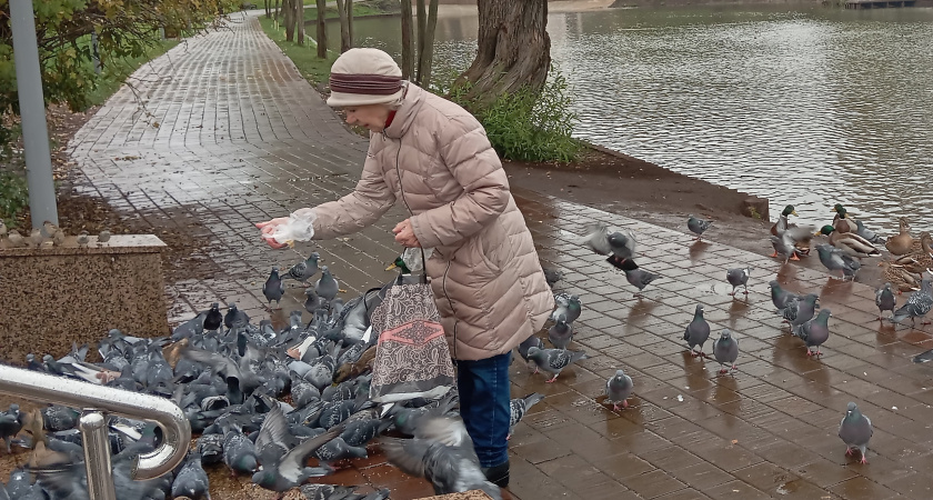    Архив редакции