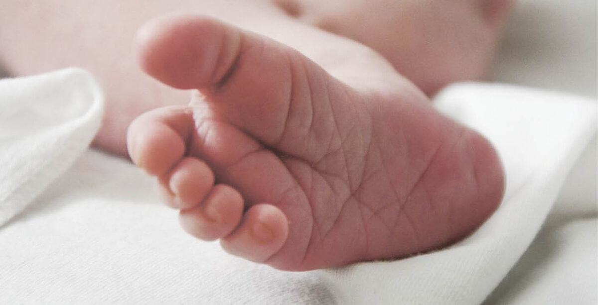 Фото: Гала Амарандо