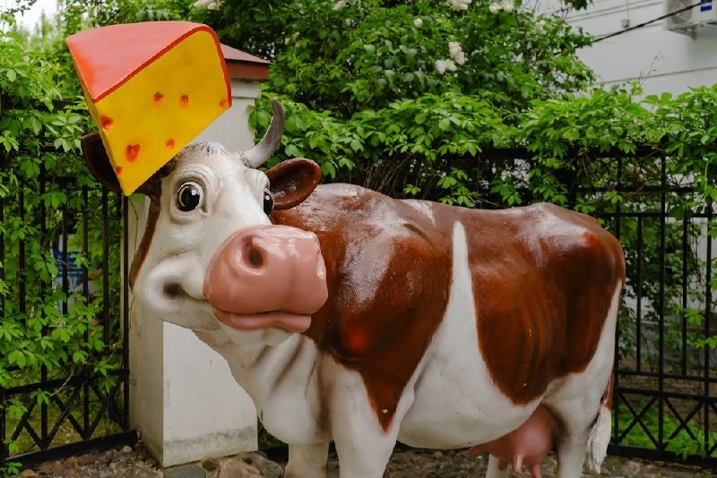 Арт-объект "Корова Маруся"