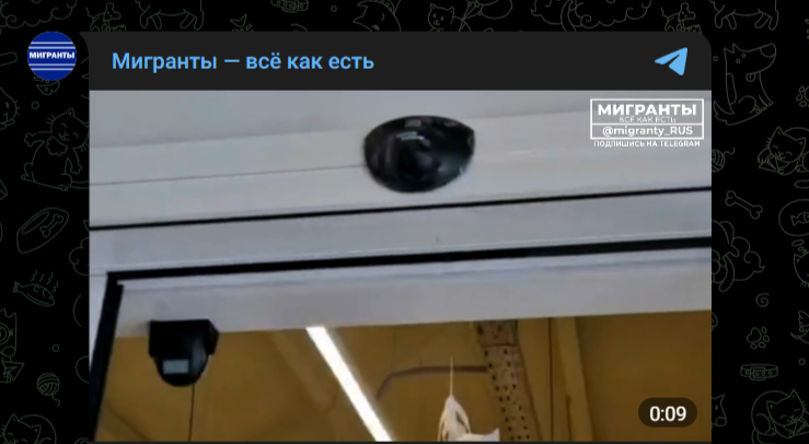 Фото: Telegram-канал "Мигранты - всё как есть"