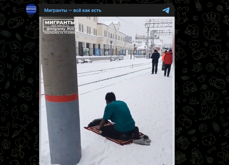 Фото: Telegram-канал "Мигранты - всё как есть"