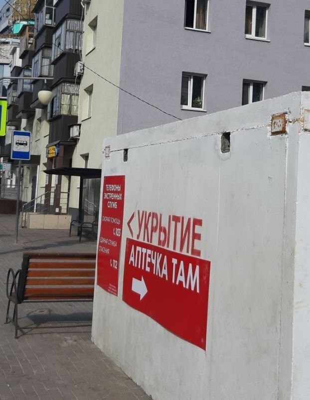    Ирина Алексеева