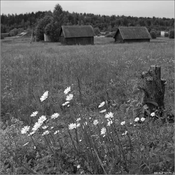 Взято из открытых источников интернета Яндекс.