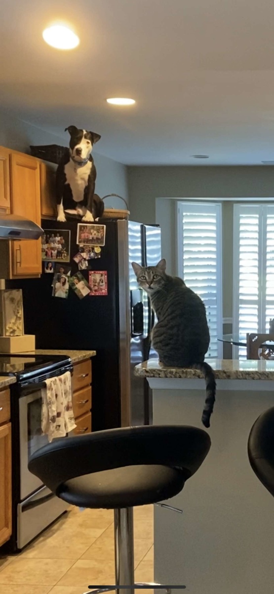 Источник: demotivateur.fr