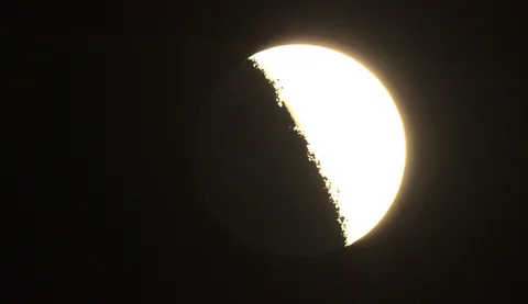 alev-biz.livejournal.com