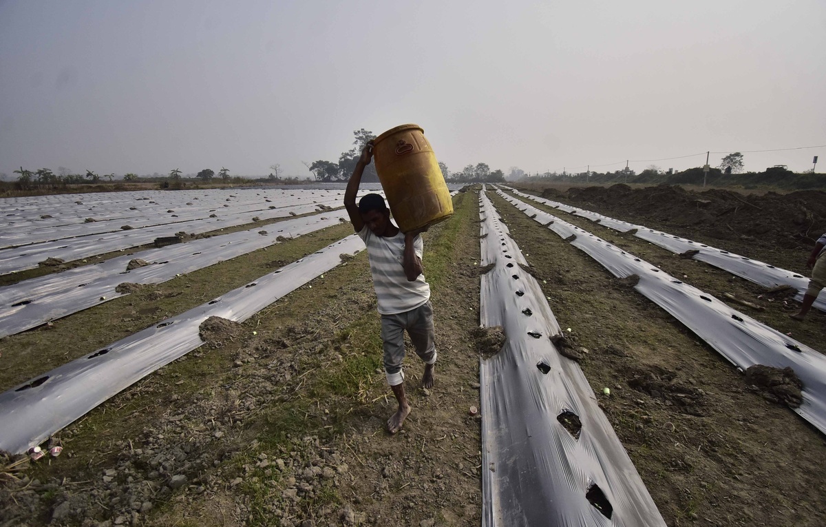 Anuwar Hazarika via Reuters Connect