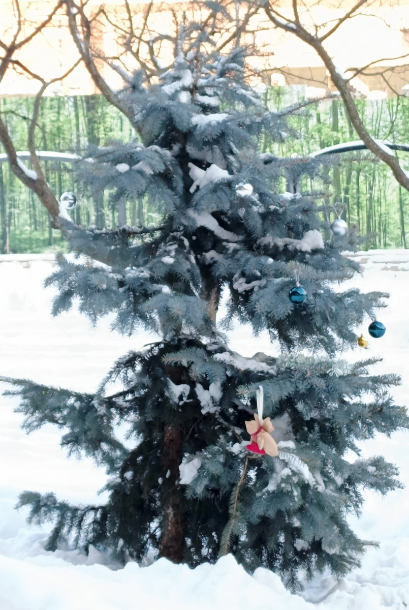 Фото автора статьи