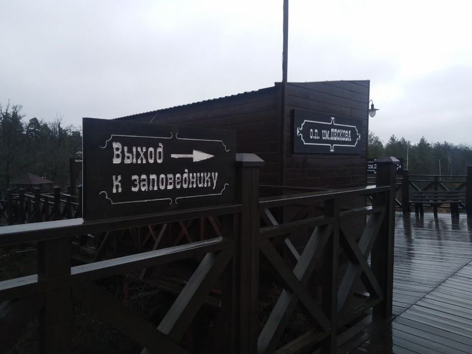    Фото Елены Федяшевой из архива «КП»