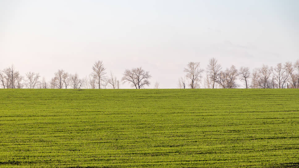 Фото: Егор Снетков / Коммерсантъ