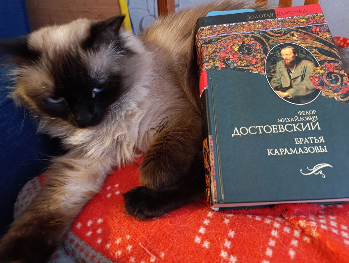 Библиотечную книгу из великого "пятикнижия" Достоевского из серии "Золотая классика" представляет, как и в прошлый раз, Джесси. 