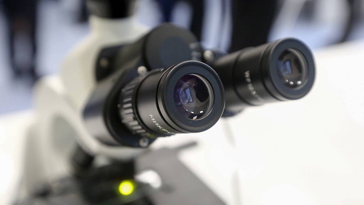    Фото: Артур Новосильцев / АГН Москва