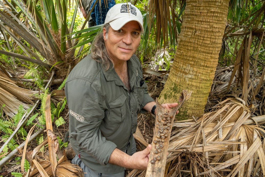 Источник фото: chesterzoo.org 