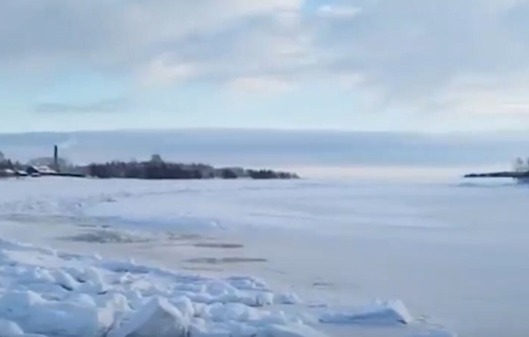    фото: © скрин с видео